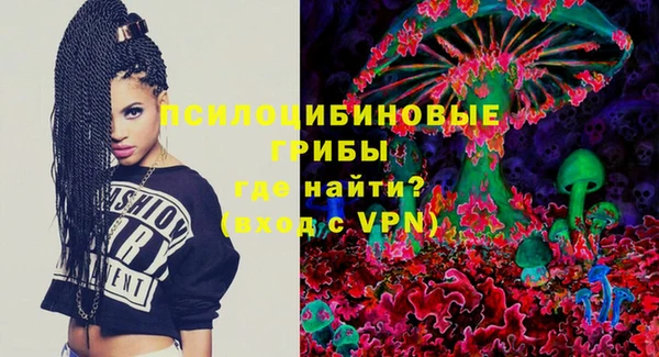 прущие крисы Зеленодольск