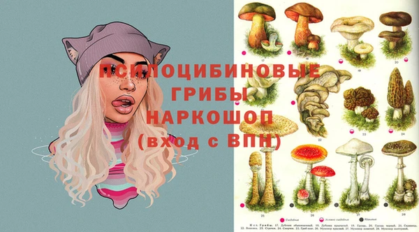 шишки Усолье-Сибирское