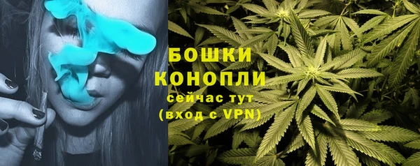 прущие крисы Зеленодольск