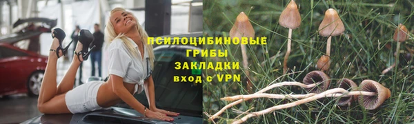 ALPHA PVP Зеленокумск