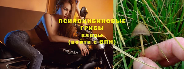 прущие крисы Зеленодольск