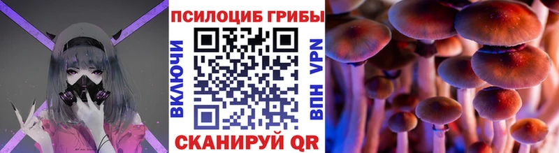 ОМГ ОМГ как войти  Усть-Кут  Псилоцибиновые грибы мицелий 